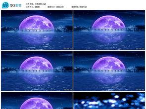 国产儿童特效视频大全,奇幻冒险，欢乐成长之旅