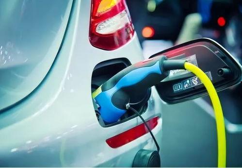 国产电车提车视频教程下载,视频详解，轻松上手