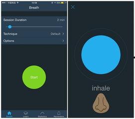国产爱视频app推荐在线观看
