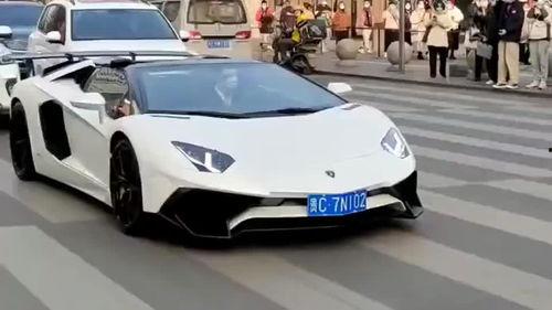 国产大牛背影视频大全,揭秘我国汽车工业的雄厚实力