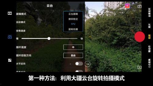 国产盗摄影视频,揭秘影视盗版背后的灰色产业链  第2张