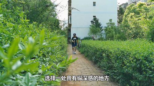 国产盗摄影视频,揭秘影视盗版背后的灰色产业链  第3张