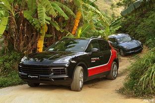 国产版卡宴试驾视频,驾驭激情，尽享豪华之旅  第3张