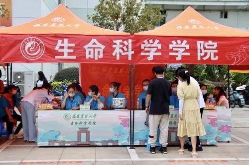 8x高清国产动态视频