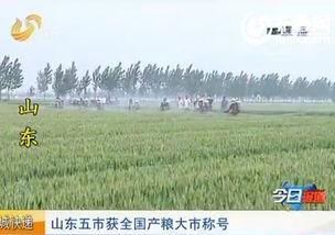 全国产粮大市视频