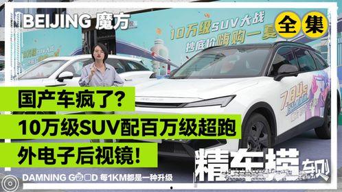 国产汽车抓拍视频下载软件,一键下载，尽享行车乐趣