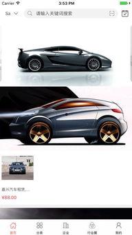 国产汽车抓拍视频下载软件,一键下载，尽享行车乐趣